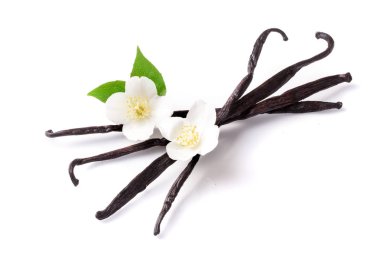 Çiçek ve yaprak beyaz arka plan üzerinde izole ile vanilya çubukları