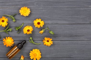 aromaterapi Uçucu yağı ile kadife çiçeği çiçek kopya alanı metni siyah zemin üzerine. Üstten Görünüm