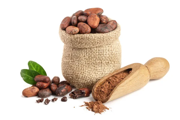 Haricots de cacao en sac avec des feuilles et de la poudre de cacao en cuillère isolée sur fond blanc — Photo