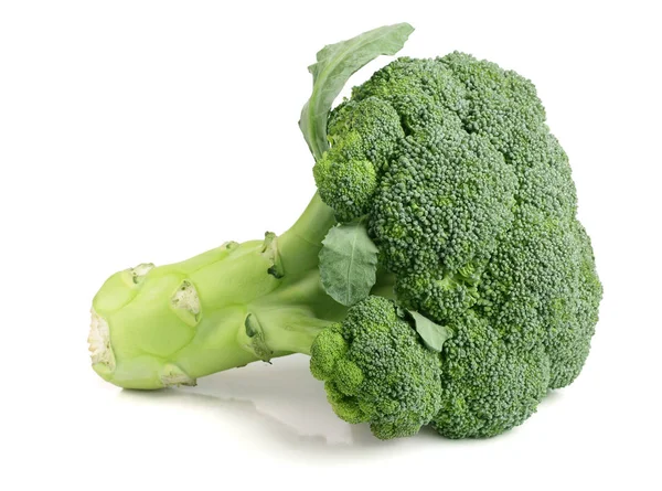 Fresh broccoli isolated on white background close-up — Stock Photo, Image