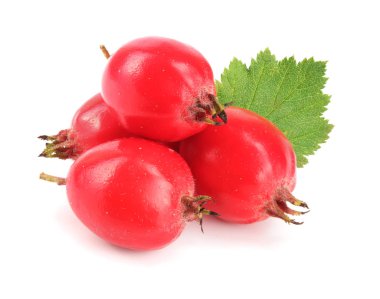 Hawthorn berry izole beyaz arka plan yakın çekim yaprak ile