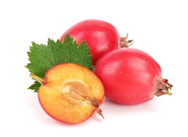 Hawthorn berry izole beyaz arka plan yakın çekim yaprak ile