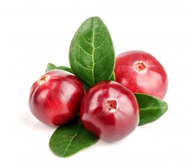 Beyaz arka plan closeup makro'izole yaprak ile kızılcık