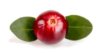 Beyaz arka plan closeup makro'izole yaprak ile kızılcık