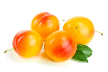 Beyaz arka plan üzerinde izole dört sarı Erik