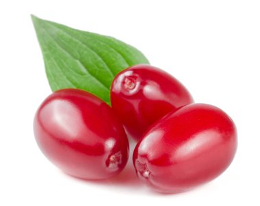 Beyaz arka plan üzerinde izole yaprak ile kızılcık berry