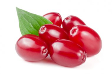 Beyaz arka plan üzerinde izole yaprak ile kızılcık berry