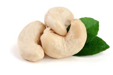 Beyaz arka plan üzerinde izole yaprak ile kaşu fındık. Makro