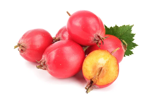 Hawthorn berry dengan daun terisolasi pada latar belakang putih close-up — Stok Foto