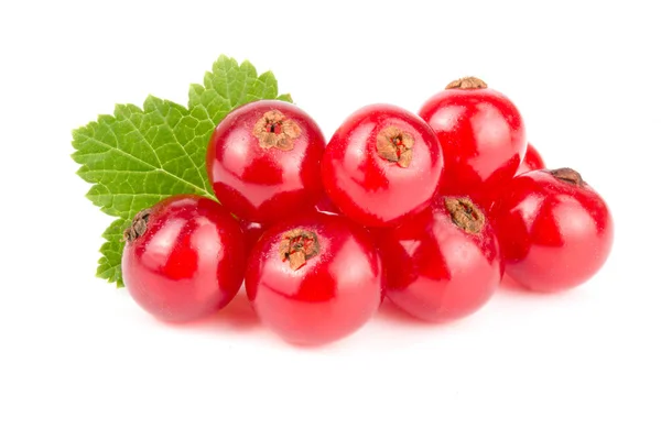 Merah currant berry dengan daun terisolasi pada latar belakang putih — Stok Foto