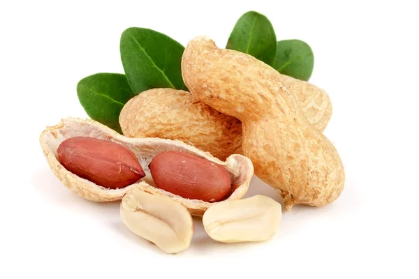 Amendoim com folha isolada sobre fundo branco — Fotografia de Stock