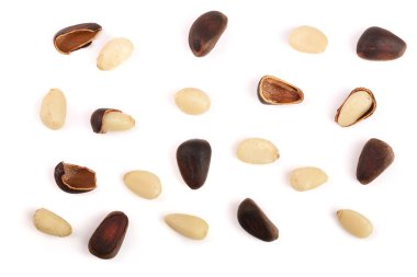 Sedir çam fıstığı beyaz arka plan üzerinde izole. Üstten Görünüm