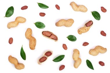 Fıstık kabukları beyaz arka plan üzerinde üstten görünüm izole ile. Düz yatıyordu desen