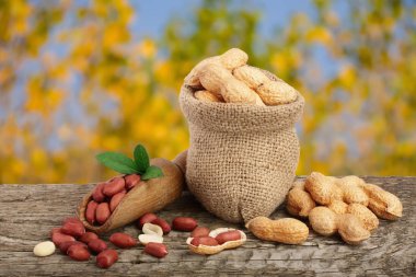 Fıstık yaprak çanta bulanık bir bahçe arka plan eski ahşap tablo