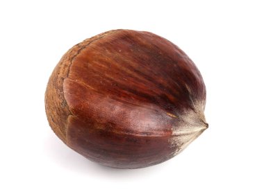 Beyaz arka plan üzerinde izole taze yenilebilir kestane