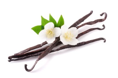 Çiçek ve yaprak beyaz arka plan üzerinde izole ile vanilya çubukları
