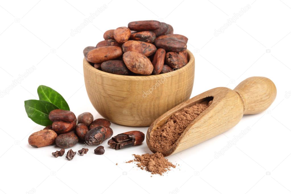 cocoa bean in wooden bowl and cocoa powder in scoop isolated on white background top view