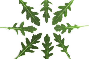 Beyaz arka plan üzerinde izole yeşil taze rucola veya roka yaprağı. Üstten Görünüm. Düz yatıyordu desen
