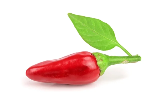 Red chili pepper with leaf isolated on a white background — Stock Photo, Image