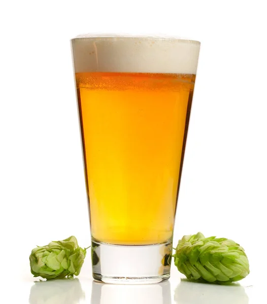 Glas Bier mit Hopfenzapfen isoliert auf weißem Hintergrund — Stockfoto