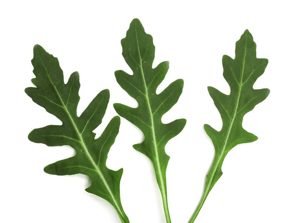Zielony świeży rucola lub rukola liść na białym tle. Widok z góry — Zdjęcie stockowe