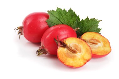 Hawthorn berry izole beyaz arka plan yakın çekim yaprak ile