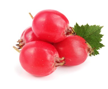 Hawthorn berry izole beyaz arka plan yakın çekim yaprak ile