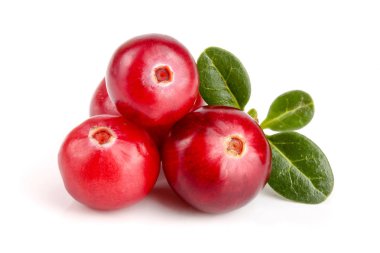 Beyaz arka plan closeup makro'izole yaprak ile kızılcık