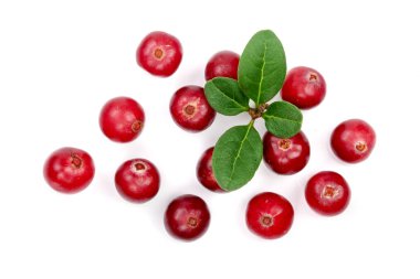 Cranberry with leaf isolated on white background closeup top view clipart