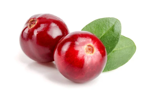 Cranberry with leaf isolated on white background closeup macro — Stock Photo, Image