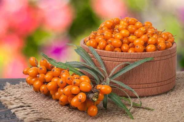 Sanddornbeeren in einer hölzernen Schüssel auf dem Tisch mit verschwommenem Gartenhintergrund — Stockfoto