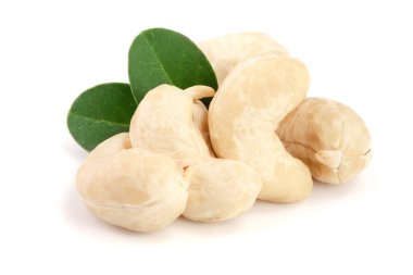 Beyaz arka plan üzerinde izole yaprak ile kaşu fındık. Makro