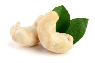 Beyaz arka plan üzerinde izole yaprak ile kaşu fındık. Makro