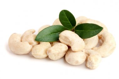 Beyaz arka plan üzerinde izole yaprak ile kaşu fındık. Makro