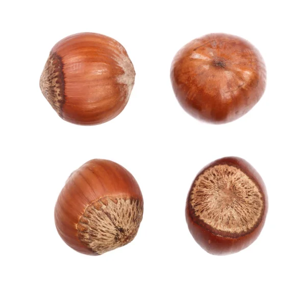 Hazelnut isolated on white background. Set or collection — Stock Photo, Image