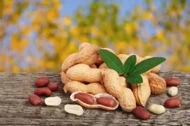 Fıstık yaprak bulanık bir bahçe arka plan eski ahşap tablo