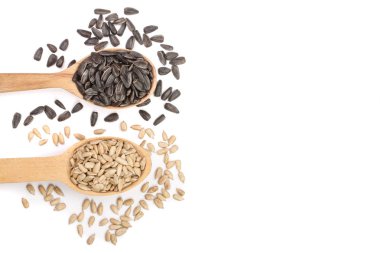 kopya alanı metniniz için beyaz zemin üzerine izole bir tahta kaşık soyulmuş ve soyulmamış tohumları. Üstten Görünüm