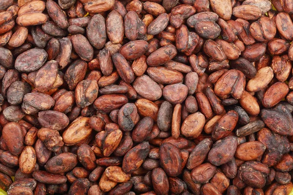 Grano de cacao sin pelar como vista superior de fondo — Foto de Stock