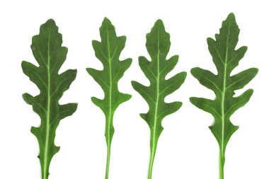 Beyaz arka plan üzerinde izole yeşil taze rucola veya roka yaprağı. Üstten Görünüm