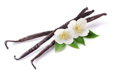 Çiçek ve yaprak beyaz arka plan üzerinde izole ile vanilya çubukları
