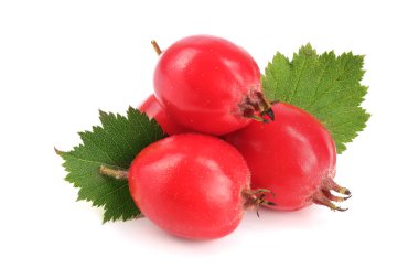 Hawthorn berry izole beyaz arka plan yakın çekim yaprak ile