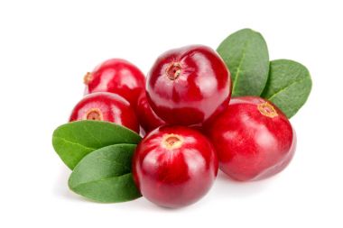 Cranberry with leaf isolated on white background closeup macro clipart