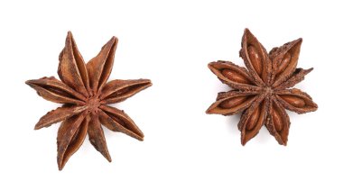 Beyaz arka plan üzerinde izole anasonu. Üstten Görünüm