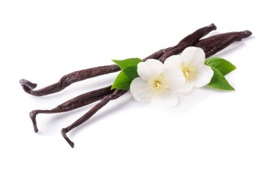 Çiçek ve yaprak beyaz arka plan üzerinde izole ile vanilya çubukları