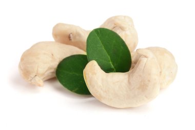 Beyaz arka plan üzerinde izole yaprak ile kaşu fındık. Makro
