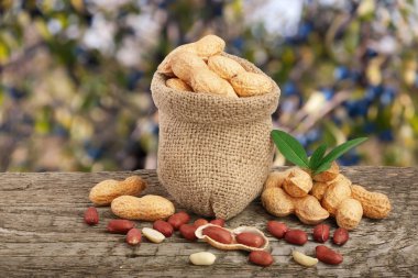 Fıstık yaprak çanta bulanık bir bahçe arka plan eski ahşap tablo