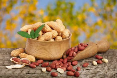 yaprak kase eski bir bulanık Bahçe arka plan ile ahşap tabloda fıstık