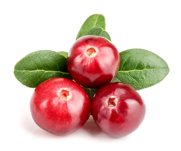 Cranberry with leaf isolated on white background closeup macro — Stock Photo, Image