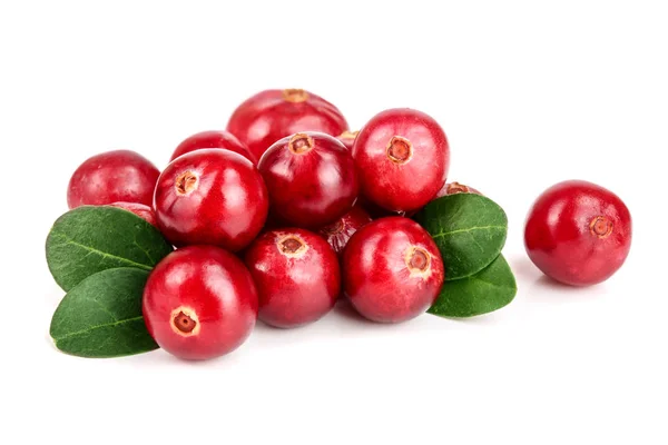 Cranberry with leaf isolated on white background closeup macro — Stock Photo, Image