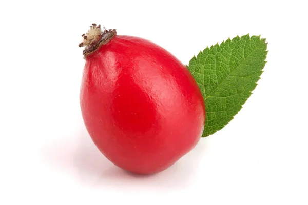 Rose hip berry met bladeren geïsoleerd op een witte achtergrond macro — Stockfoto